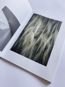 Rixa Schwarz Portraitfotografie Köln