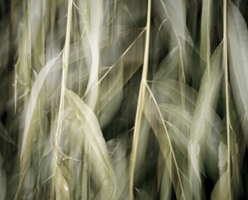 Rixa Schwarz Photography for People & Planet